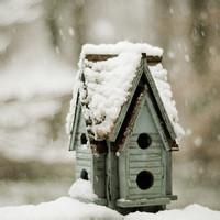 qq下雪头像图片男生_WWW.WHOISQQ.COM