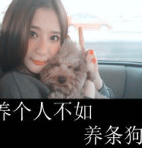 2014骂人男生头像图片_WWW.WHOISQQ.COM