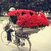 拿着玫瑰花的男生头像图片_WWW.WHOISQQ.COM