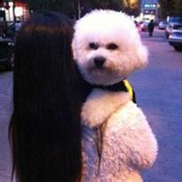 头像图片 男生坐着抱着熊_WWW.WHOISQQ.COM
