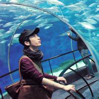 改qq装扮头像图片帅气男生_WWW.WHOISQQ.COM