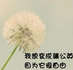 qq头像图片阳光背影男生_WWW.WHOISQQ.COM