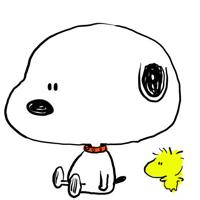 qq头像图片男生抱猫咪头像图片_WWW.WHOISQQ.COM