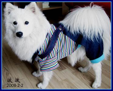 穿背带裤的男生头像图片_WWW.WHOISQQ.COM