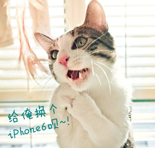 带“晓”网名_WWW.WHOISQQ.COM