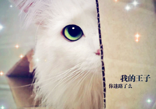 鹿晗吴世勋情侣网名_WWW.WHOISQQ.COM