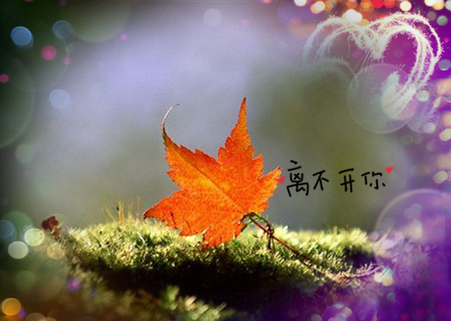 兄弟姐妹网名qq19个_WWW.WHOISQQ.COM