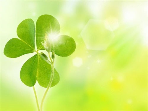 带有彼此爱情个性网名_WWW.WHOISQQ.COM