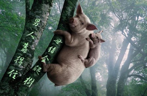 qq网名二个字的高冷的_WWW.WHOISQQ.COM
