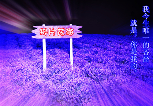 和佛经有关的网名_WWW.WHOISQQ.COM
