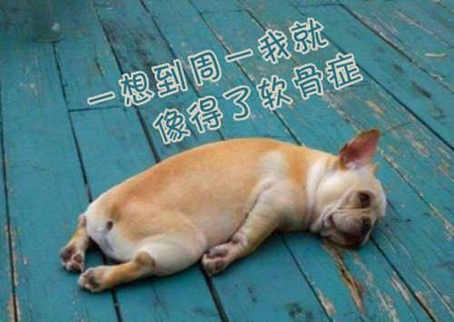 前面英文后面字的网名_WWW.WHOISQQ.COM