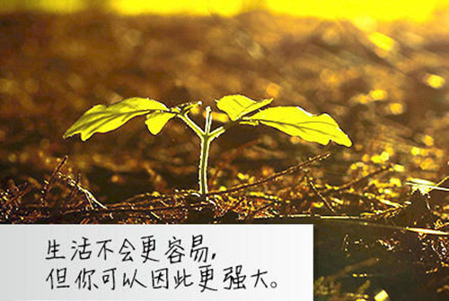 与华丽相关的网名_WWW.WHOISQQ.COM
