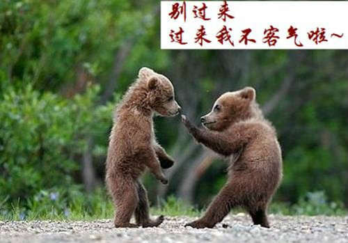 含情的网名_WWW.WHOISQQ.COM