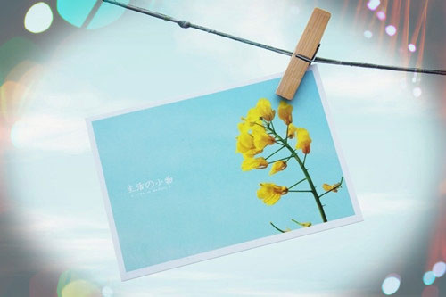 纯文字唯美五个字网名_WWW.WHOISQQ.COM