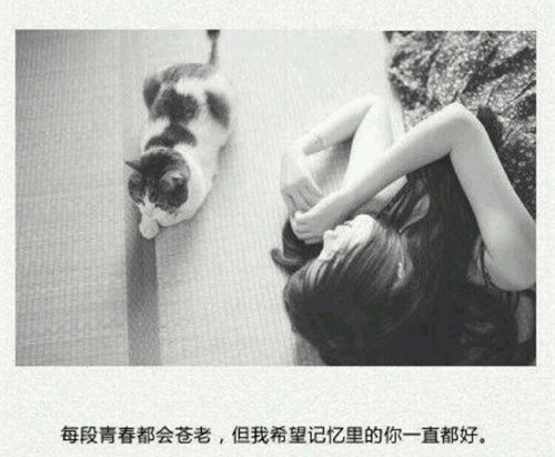 繁体字唯美网名 符号_WWW.WHOISQQ.COM