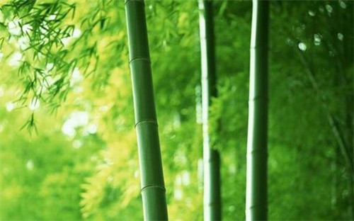 有你胜有天的情侣网名_WWW.WHOISQQ.COM