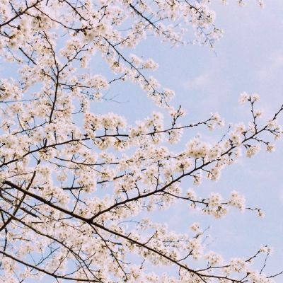 关于霍建华的qq网名_WWW.WHOISQQ.COM