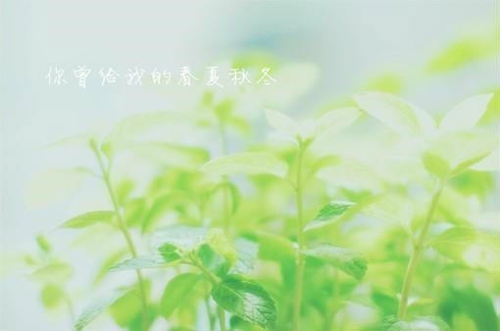 qq7.1班级群网名搞笑_WWW.WHOISQQ.COM