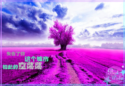 qq今夕何夕艺术网名_WWW.WHOISQQ.COM