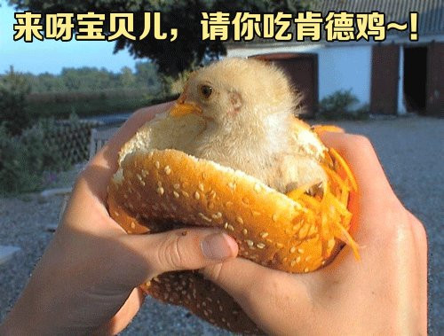 网名希望孩子越来越好_WWW.WHOISQQ.COM