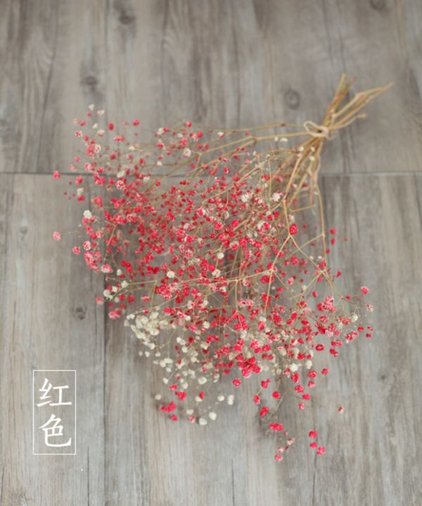 网名变成qq号码_WWW.WHOISQQ.COM