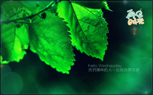 小丑罢了i网名_WWW.WHOISQQ.COM