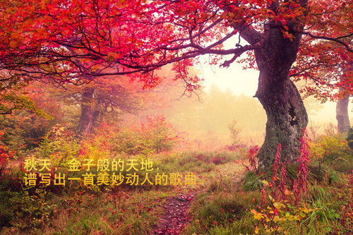 带狗的四字网名_WWW.WHOISQQ.COM