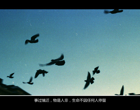 男生很宅的网名_WWW.WHOISQQ.COM
