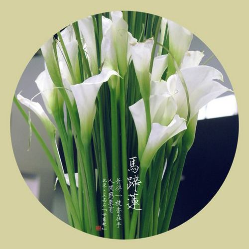 寻找女友的网名_WWW.WHOISQQ.COM