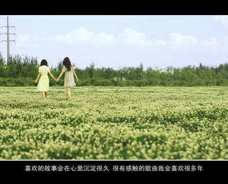 系列喜感的网名_WWW.WHOISQQ.COM