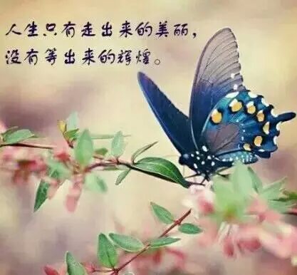 有哪些好听的网名女生_WWW.WHOISQQ.COM