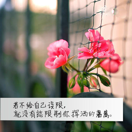 最新情侣繁体字网名_WWW.WHOISQQ.COM
