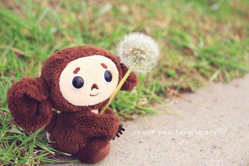 开头带小的三字网名_WWW.WHOISQQ.COM