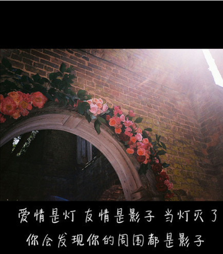 亲侣群网名超拽_WWW.WHOISQQ.COM