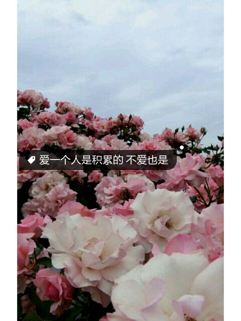 教师英文网名_WWW.WHOISQQ.COM