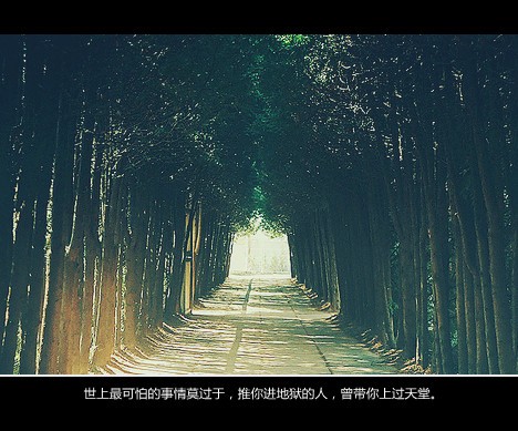 女人用 优雅 网名_WWW.WHOISQQ.COM