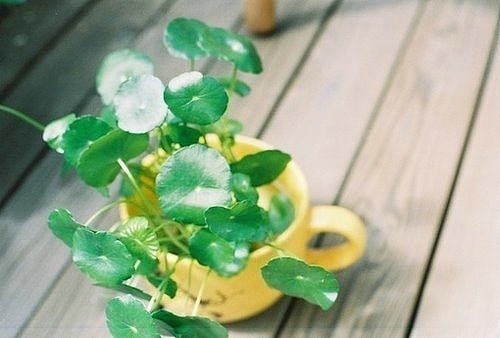 情侣哥开头的网名_WWW.WHOISQQ.COM