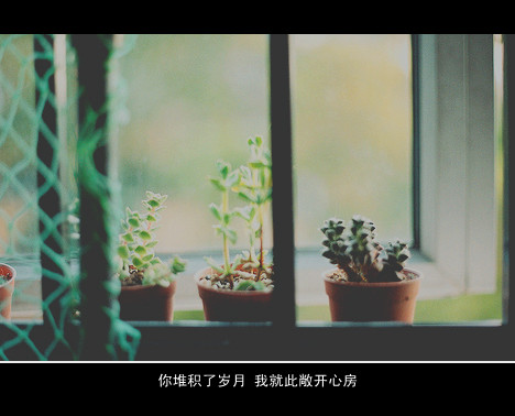 带有猪字的好听网名_WWW.WHOISQQ.COM