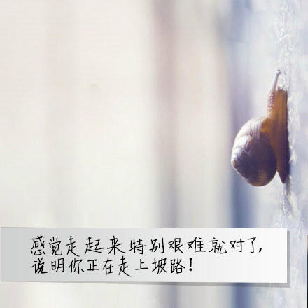 人用 qq网名_WWW.WHOISQQ.COM