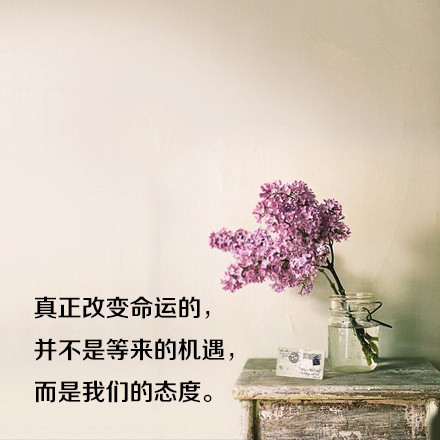 qq网名四字经典唯美_WWW.WHOISQQ.COM