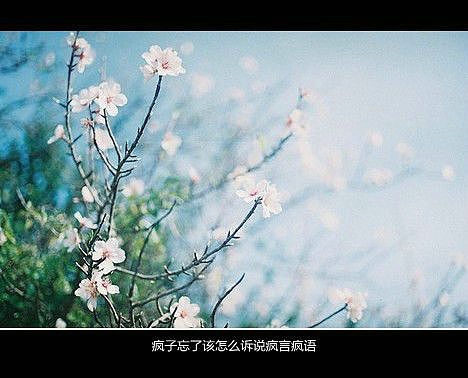 女生网名三个字_WWW.WHOISQQ.COM