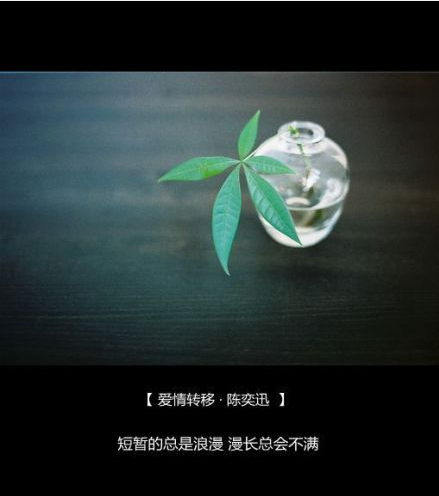 纽约丶迷情的类似网名_WWW.WHOISQQ.COM