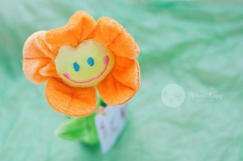 网名 点符号_WWW.WHOISQQ.COM