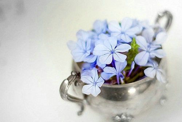 最新女生霸气英文网名_WWW.WHOISQQ.COM