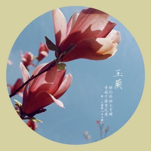 含萝莉的6字网名_WWW.WHOISQQ.COM