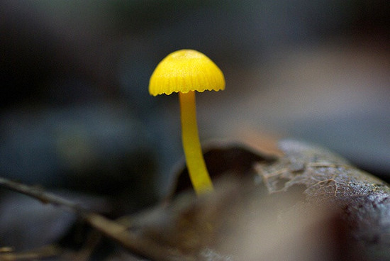 谁懂我的意思网名_WWW.WHOISQQ.COM