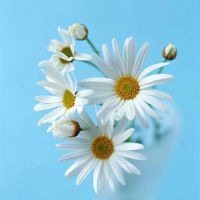 伤感哲理复古网名_WWW.WHOISQQ.COM
