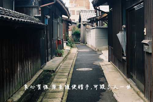 猫字开头网名_WWW.WHOISQQ.COM