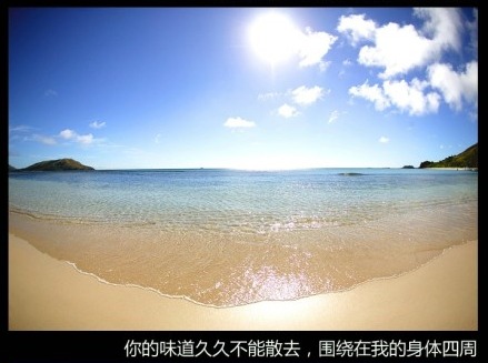 带未来的网名_WWW.WHOISQQ.COM