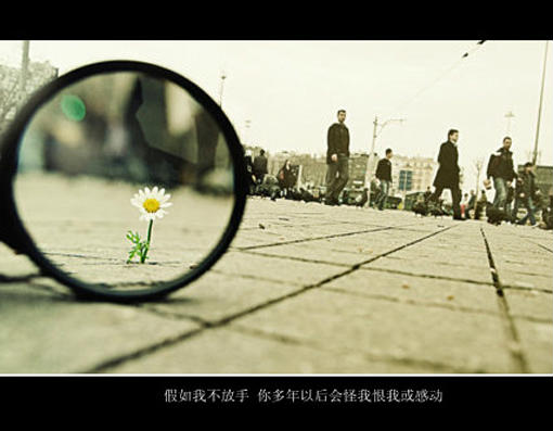 爷qq网名_WWW.WHOISQQ.COM